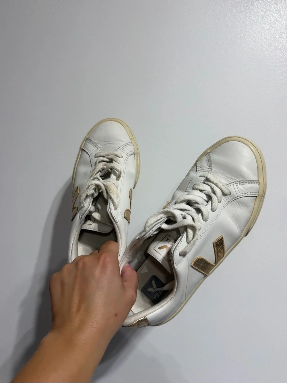 Veja classic trendy